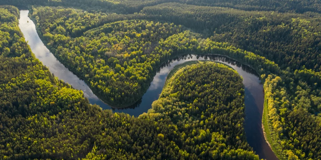 deforestation des forets amazonie