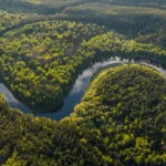 deforestation des forets amazonie