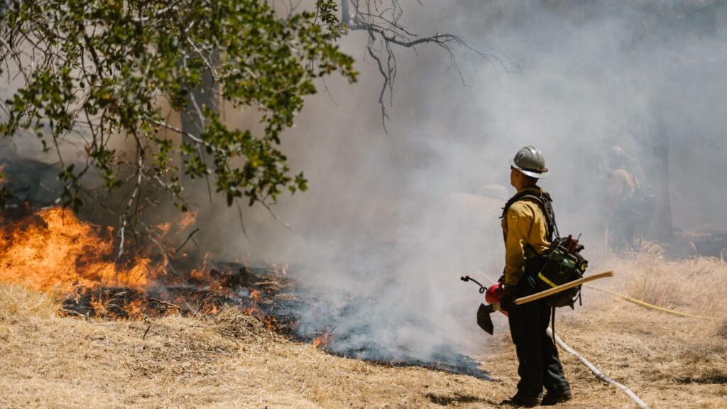 Incendies en Gironde : 7 000 candidatures en 24 heures, la relève des pompiers s’organise