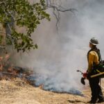 Pompier mobilisé pour lutter contre un incendie de forêt