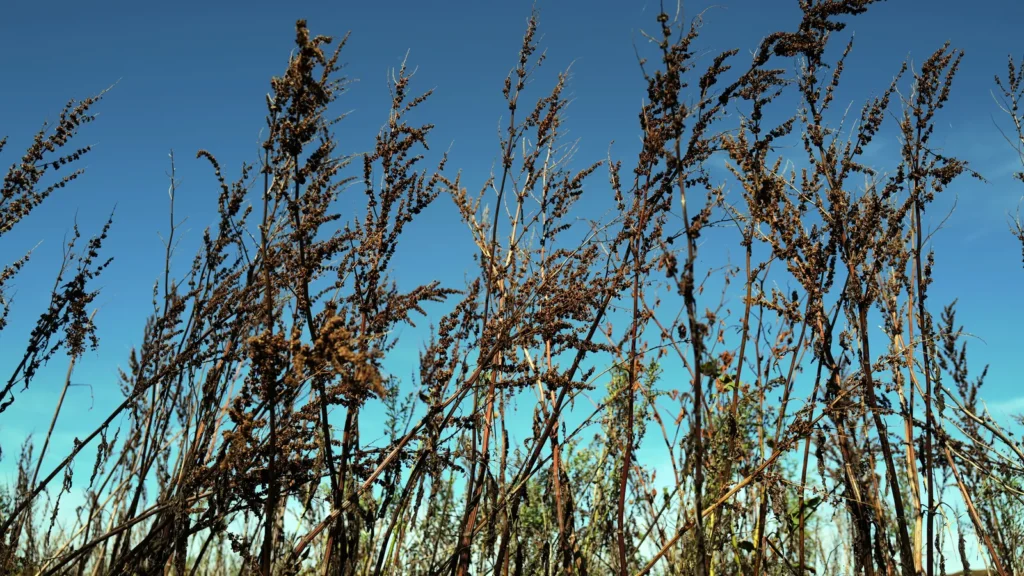 Adaptation climatique : le plan Barbut attend ses arbitrages financiers
