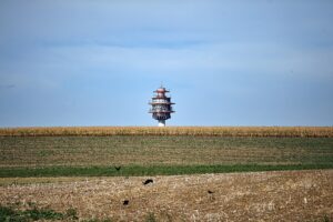 Champ de maïs touché par la sécheresse alors que les canicules pèsent sur l’économie française en 2026