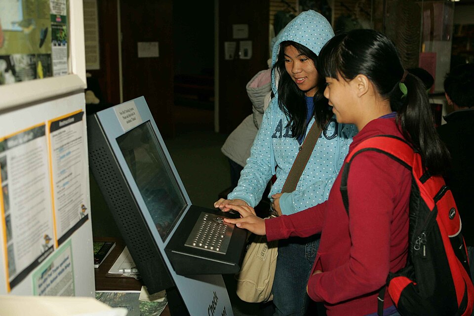 Femmes utilisant les nouvelles technologies face aux effets de l’IA sur l’emploi