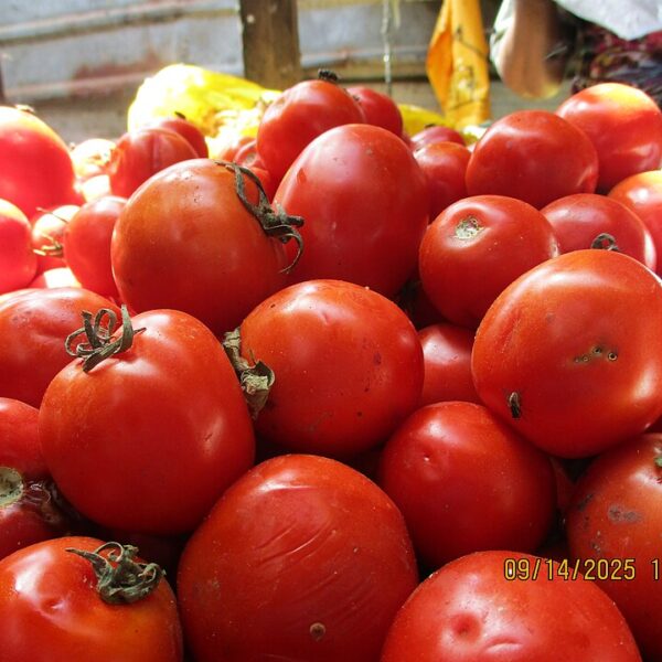 Tomates sur un marché alors que les prix des fruits et légumes augmentent après la sécheresse de 2026