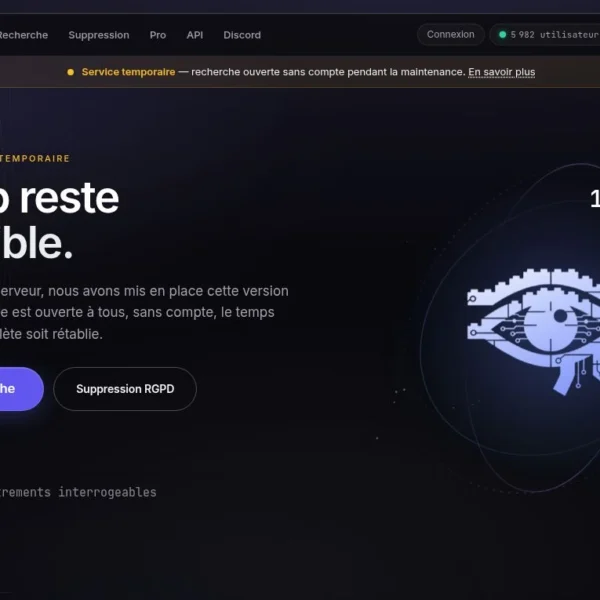 Capture de la page d’accueil de BrixHub, plateforme de recherche dans des données personnelles issues de fuites.