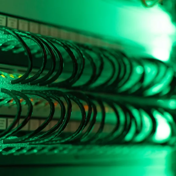 Câbles réseau raccordés à une baie informatique sous un éclairage vert.