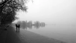 Deux personnes marchent sous des parapluies sur une promenade arborée au bord de l’eau, dans la brume.